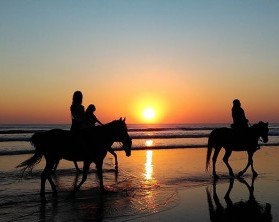 Mit dem Pferd am Strand im Wellnessurlaub