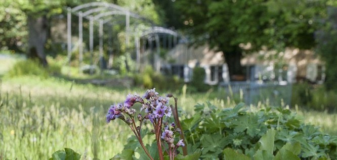 Park mit herrlichem Grün und altem Baumbestand | Bad Clevers Gesundheitsresort & Spa - Allgäu 