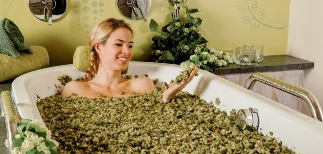 Hopfenbad-DerEisvogel-BadGögging-Niederbayern