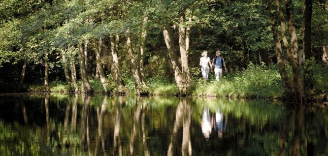 Wandern am Teich | Hotel Heinz - Westerwald