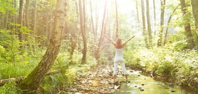 Yoga im Wald | Hotel Heinz - Westerwald
