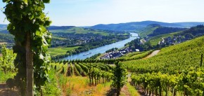 M_moselblick_plateau 140714