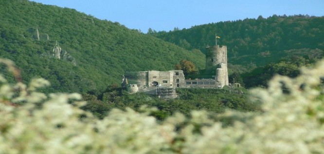 Die Burg | Lifestyle Resort Zum Kurfürsten - Bernkastel-Kues - Mosel