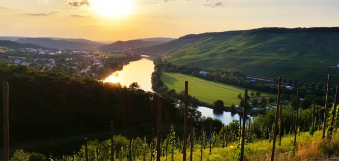 Sonnenuntergang Mosel 140714