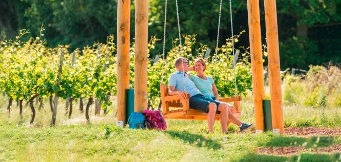 Gäste auf der Holzschaukel im Weinberg | Menschels Vitalresort - Bad Sobernheim - Naheland