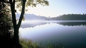 Das Weinfelder Maar im Morgennebel bei Michels Wohlfühlhotel, Rheinland-Pfalz, Vulkan-Eifel, Schalkenmehren  