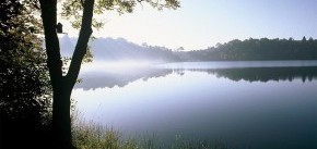 Das Weinfelder Maar im Morgennebel bei Michels Wohlfühlhotel, Rheinland-Pfalz, Vulkan-Eifel, Schalkenmehren