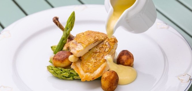 Vitalia Seehotel - Bad Segeberg - Schleswig-Holstein - Green asparagus with Hollandaise sauce