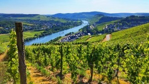 Wellness an der Mosel | Rheinland-Pfalz | Lifestyle-Resort Zum Kurfürsten Weinberge an der Mosel in Bernkastel-Kues | Lifestyle-Resort Zum Kurfürsten
