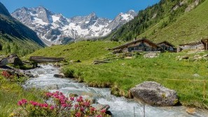 Mountain river in Vorarlberg | Upper Austria