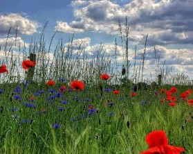Die Umgebung Brandenburgs im Wellnessurlaub entdecken