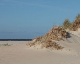 Entspannen zwischen Sanddüne auf der Nordseeinsel Norderney