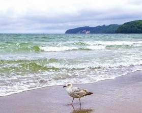 Pure Entspannung an der Nordsee und auf den ostfriesischen Inseln