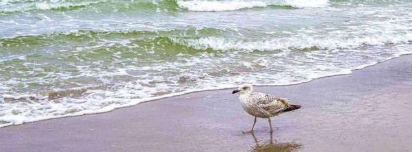 Pure Entspannung an der Nordsee und auf den ostfriesischen Inseln