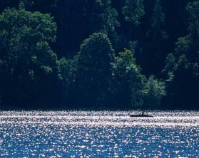 Erholung am Natursee im Schwarzwald bei Sonnenschein