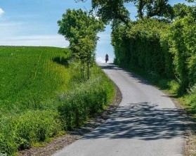 Active and fit through nature in Holstein Switzerland