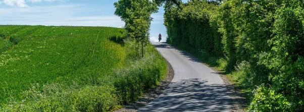 Active and fit through nature in Holstein Switzerland