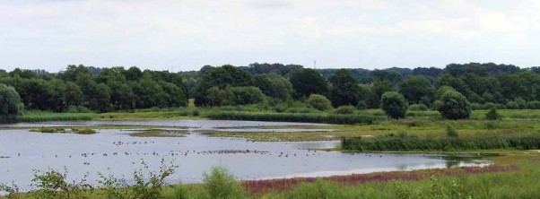 An den Feuchtwiesen im Münsterland entspannen