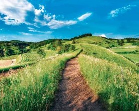 Die Hügelige Landschaft in der Mitte Deutschlands lädt zum Relaxen ein