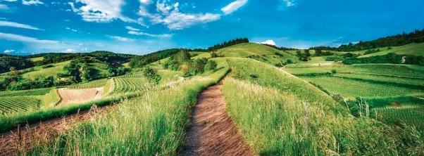 Die Hügelige Landschaft in der Mitte Deutschlands lädt zum Relaxen ein