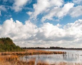 Wellness mit Seeblick in Niedersachsen