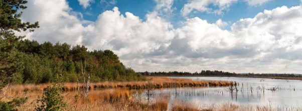 Wellness with lake view in Lower Saxony