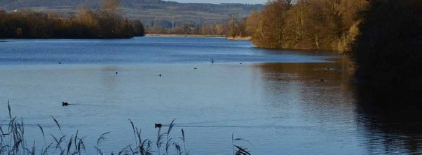 Evening mood at the lake in Saarland