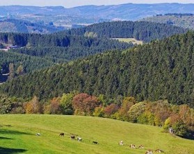 Kleine Pause mit dem Blick über das vorherbstliche Sauerland