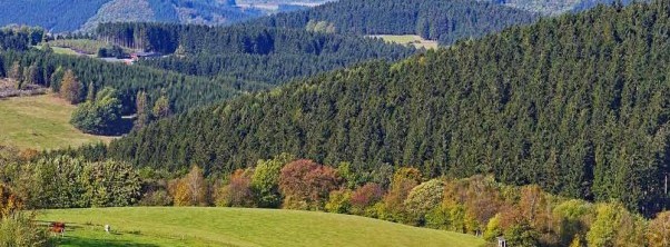 Kleine Pause mit dem Blick über das vorherbstliche Sauerland