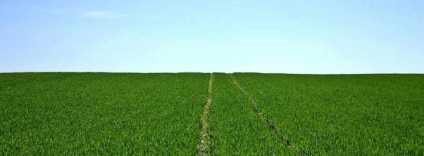 Wellness and space in the summery field of Bad Hersfeld