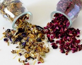 Nature treatments during wellness holidays